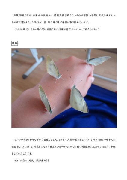 S20200622のサムネイル
